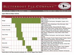 Upper Bitterroot Major Hatches